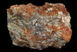 North Pole Dome Stromatolite Section - Billion Years #154979-1